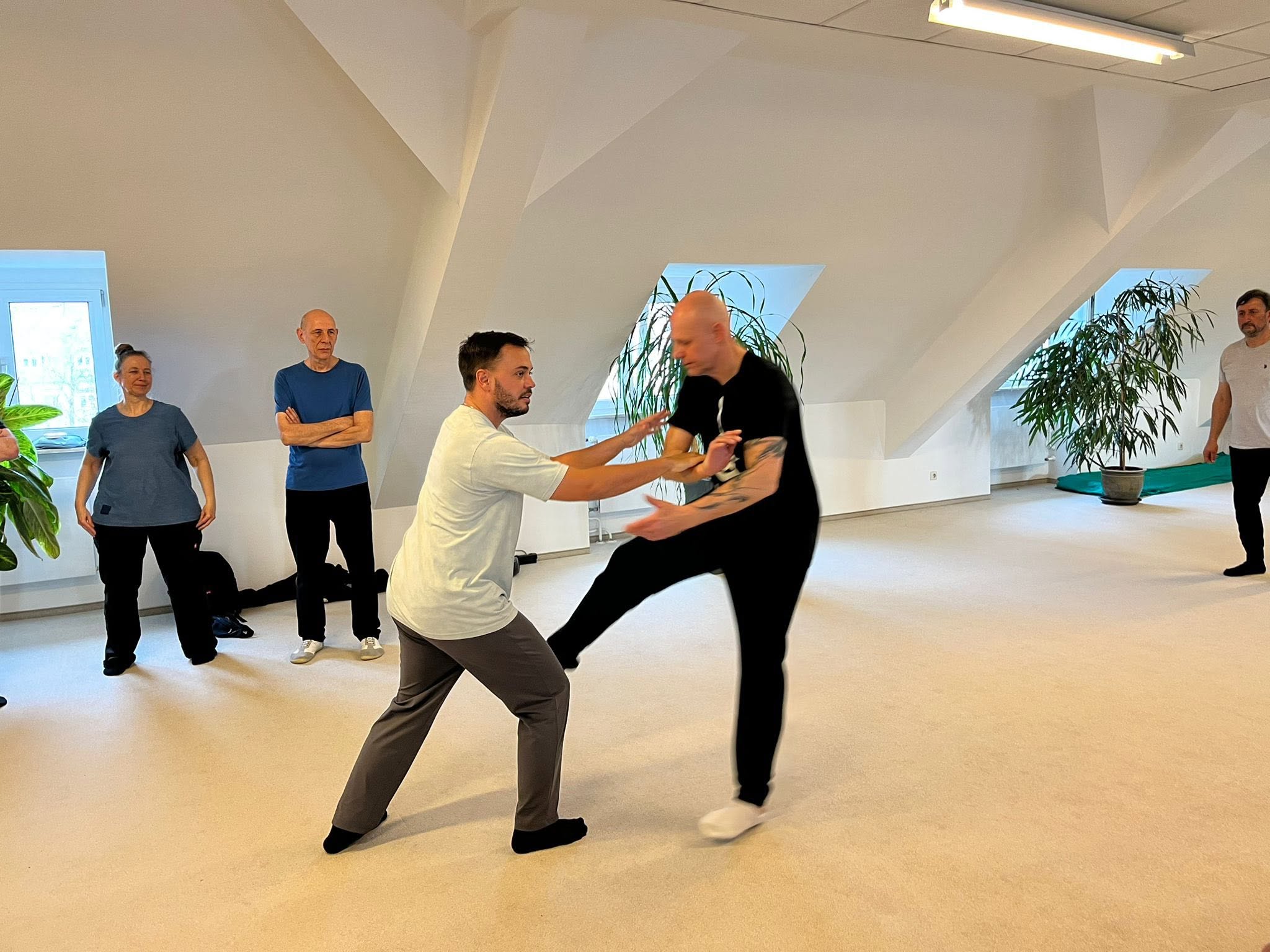 To deltagere laver Tai Chi-partnerøvelser, mens holdet ser på